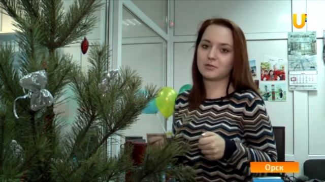 U News Орск Вторая жизнь ёлок смотреть онлайн
