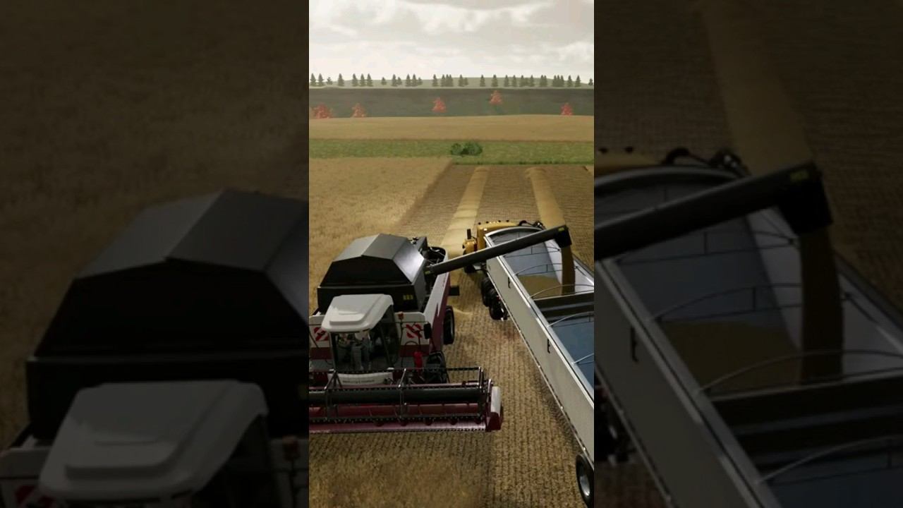 ACROS585 выгрузка пшеницы. смотреть онлайн