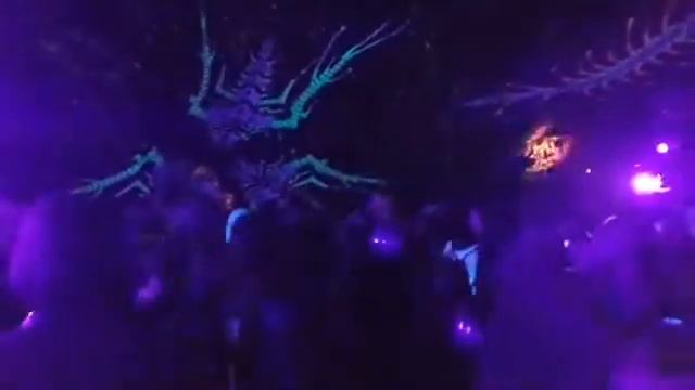 Integral Seeds ~ Psychedelic Forest Party ~ night time 2 смотреть онлайн