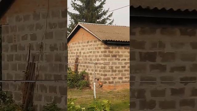 Сильно пахнет гарью,дымка от лесных пожар в Рязанской обл. смотреть онлайн