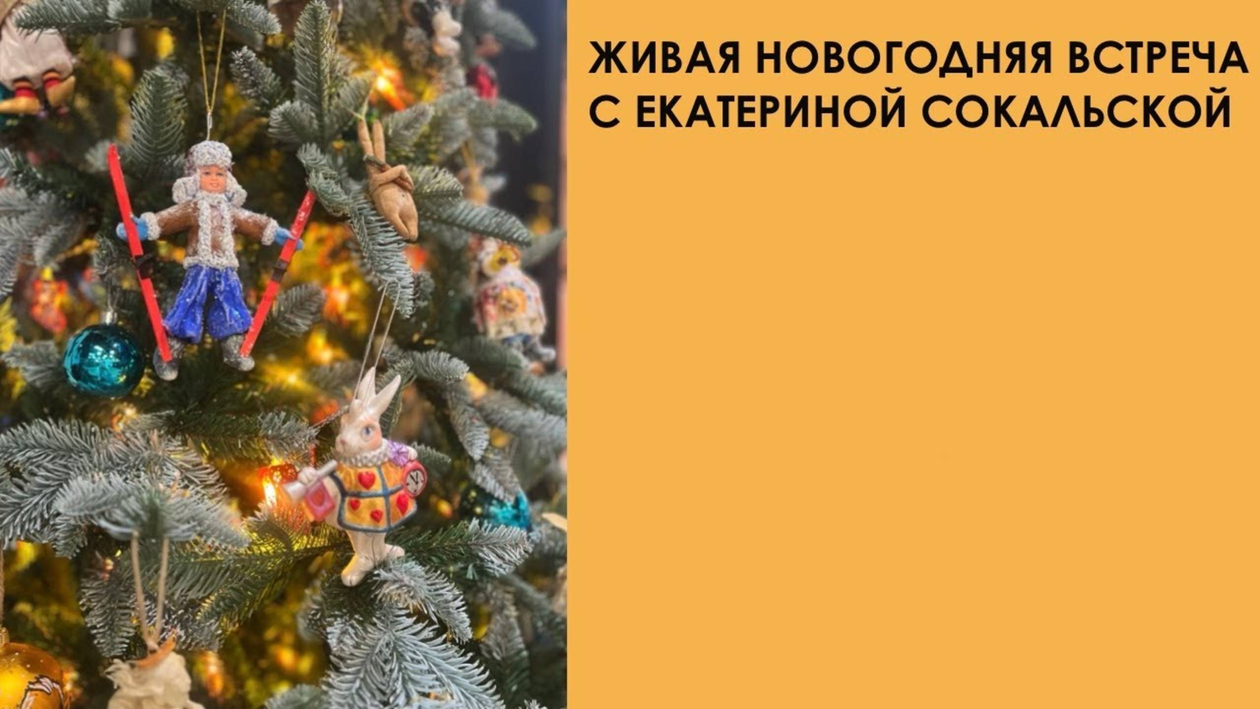 Живая новогодняя встреча с Екатериной Сокальской смотреть онлайн