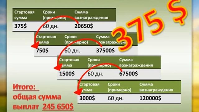 Конференция Rally Buсks от 2204.2013 ответы на вопросы. Ю Шевченко смотреть онлайн
