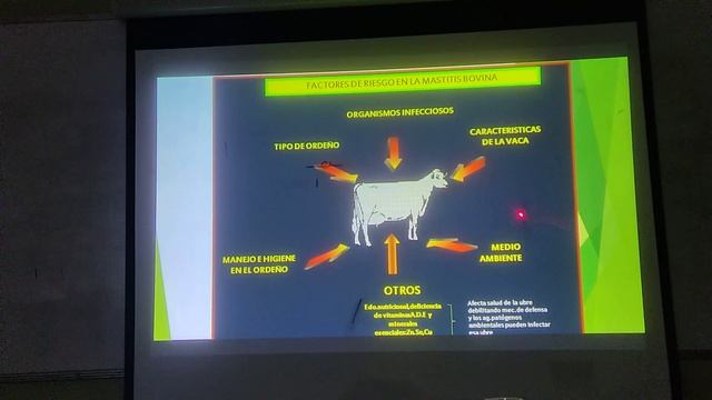 Bacteriología - Tema 9 Mastitis Bovina смотреть онлайн