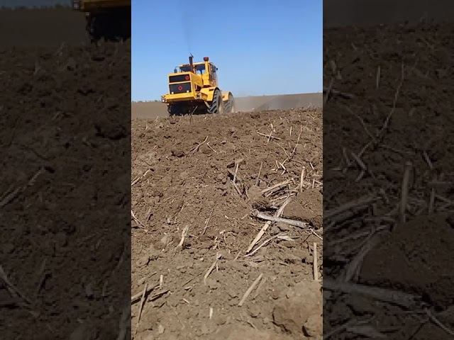 К701. смотреть онлайн