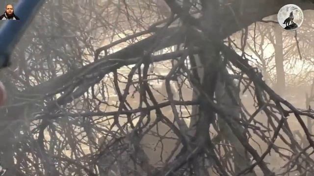 يواجه الأسد تجار الجلود بالبنادق 😱👌👍 الجزء 1 смотреть онлайн