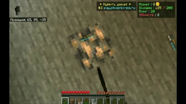 ЛУЧШЕЕ НАЧАЛО ВАЙПА НА СЕРВЕРЕ Phoenix-MCBE