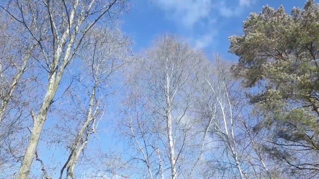 Краски неба в ноябре смотреть онлайн