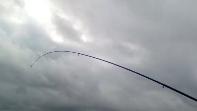 Сулежский Борок 10.10.2017 года 7 смотреть онлайн