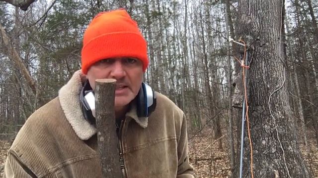 EPIC! Bigfoot Sasquatch Predicts Super Bowl LIV Winner With 100 Percent Accuracy! смотреть онлайн