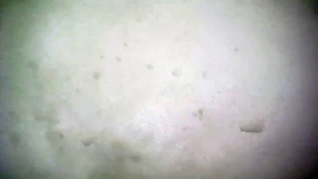 Chill powpow смотреть онлайн