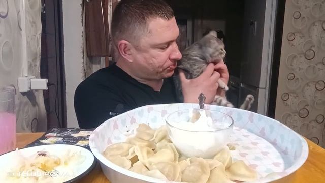 мукбанг/обжор/вареники с картошкой/ смотреть онлайн