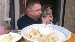 мукбанг/обжор/вареники с картошкой/