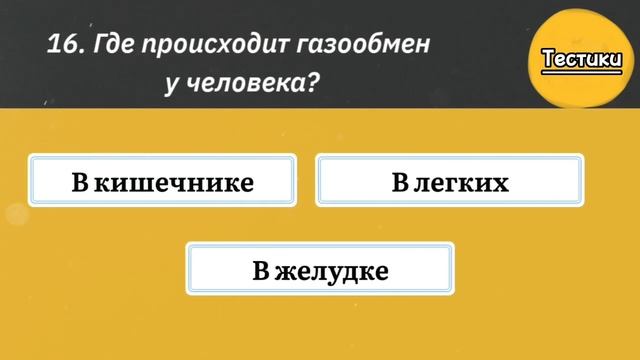 Только 5% Людей Знают Ответы на эти Вопросы. Сложный, но Интересный Тест на Общие Знания. смотреть онлайн