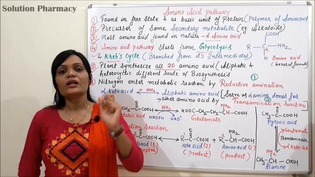 Class (07)= Amino Acid Pathway (Part 01) | Introduction, Reductive amination and Transamination) смотреть онлайн