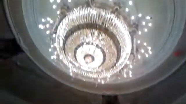 Кружись с птицей! смотреть онлайн