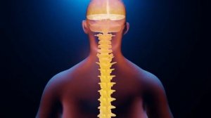 Матрица Гаряева*ИСЦЕЛЕНИЕ ШЕЙНОГО ОТДЕЛА ПОЗВОНОЧНИКА