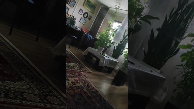 от новостей России голова кругом кроме матов ничего не осталось в голове. 🙏🙏🙏 нам бгатья смотреть онлайн