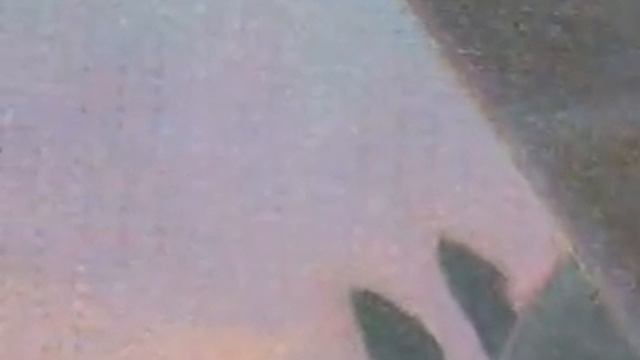 Harry Potter Illustrations Video смотреть онлайн