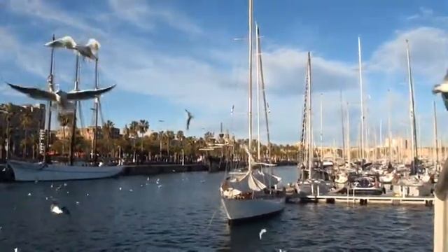 MAREMAGNUM, BARCELONA, VUELO DE GAVIOTAS смотреть онлайн