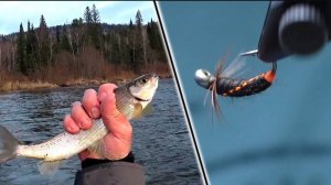 Мушка ДНК. Проверена по Хариусу. Видео с Рыбалкой