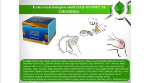 Опорно-двигательная система