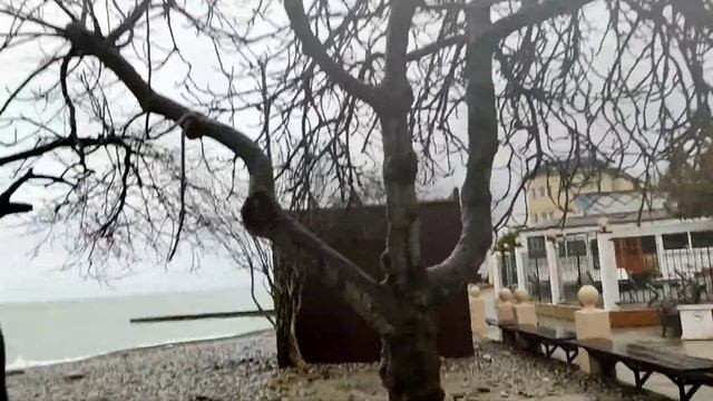 Пляж Ласточка, Мамайка сегодня.