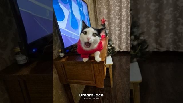 извинение за то что долго не снимаю