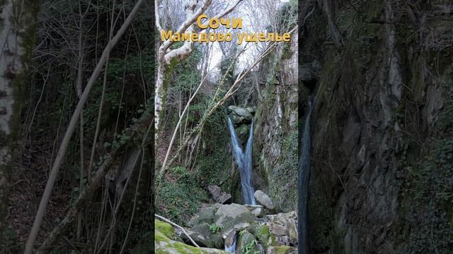 Природа России, природа Сочи, Россия сегодня, природа Кавказа, горы Кавказа, Лазаревское сегодня смотреть онлайн