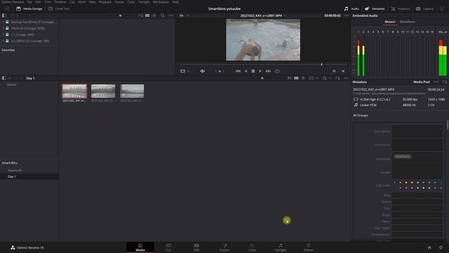 STAY ORGANIZED In Davinci Resolve 18 | USE SMART BINS - Work Smart And Fast смотреть онлайн