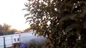 Маз 6422 Вторая часть