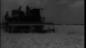 Киножурнал /  НОВОСТИ ДНЯ 1954 г  N 41