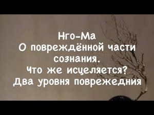 Нго-Ма 11. О поврежденной части сознания. Что же исцеляется? Два уровня повреждения.