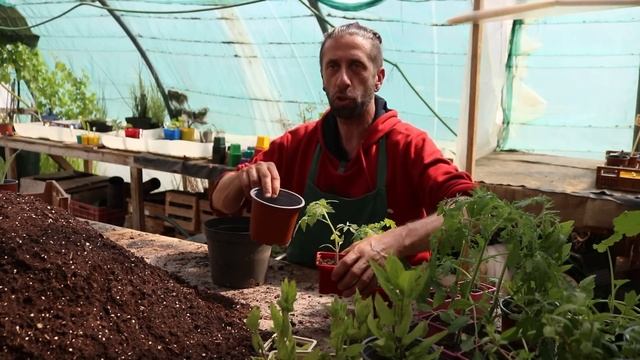 2 astuces pour sauver toutes vos plantes ! Ou comment avoir de belles plantes dans un beau jardin смотреть онлайн