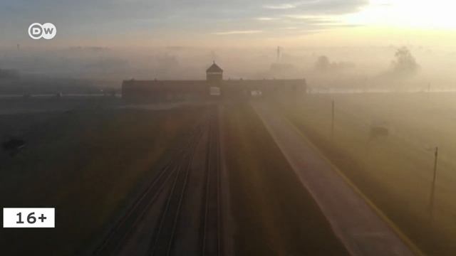 ОБЗОР АЛЬБОМА Mgla - Exercises in Futility смотреть онлайн