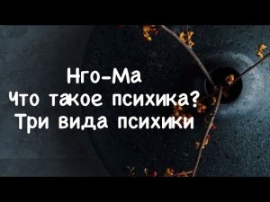 Нго-Ма 9. Что такое психика? Три вида психики.
