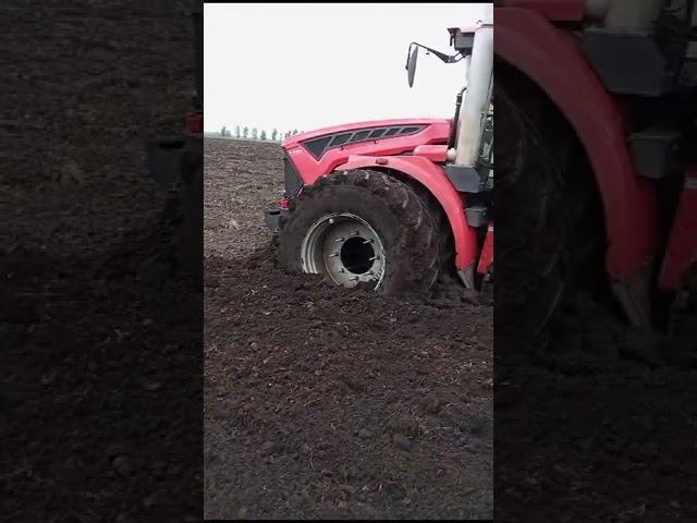 засадили к744 смотреть онлайн