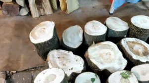 Раздобыл запас бесплатного дерева Клён