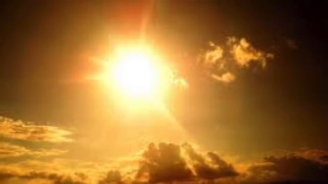 Photosynthesis Rap смотреть онлайн