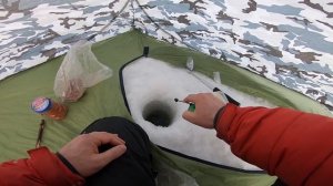 РЫБАЛКА НА МАННУЮ БОЛТУШКУ И БЕЗМОТЫЛКУ.ЛОВЛЯ ПЛОТВЫ ЗИМОЙ.