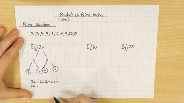 Product of Prime Factors смотреть онлайн