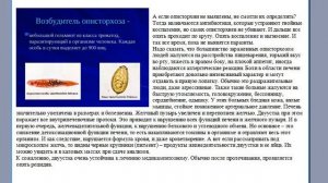 Продукция Биозан в борьбе с паразитами. Часть 1.