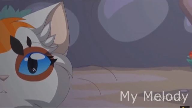 Коты воители миру мир смотреть онлайн