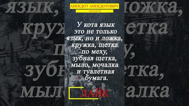 Язык кота смотреть онлайн
