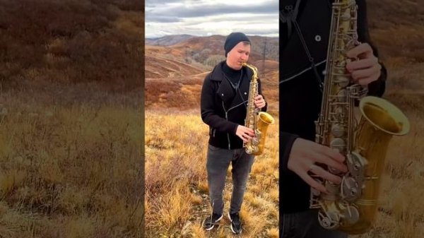 Adriano Celentano / Адриано Челентано - Confessa saxophone cover kogutsax