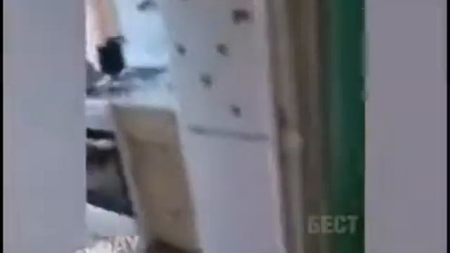 Тик ток видео номер 3 смотреть онлайн