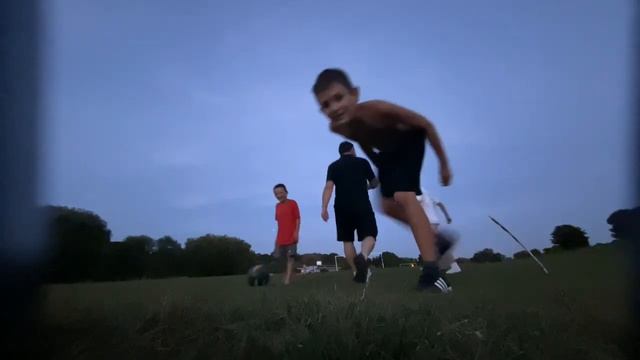 Dog peeing on camera смотреть онлайн
