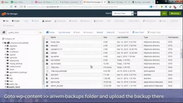 How to move wordpress website from Local server Wamp to Live Server смотреть онлайн