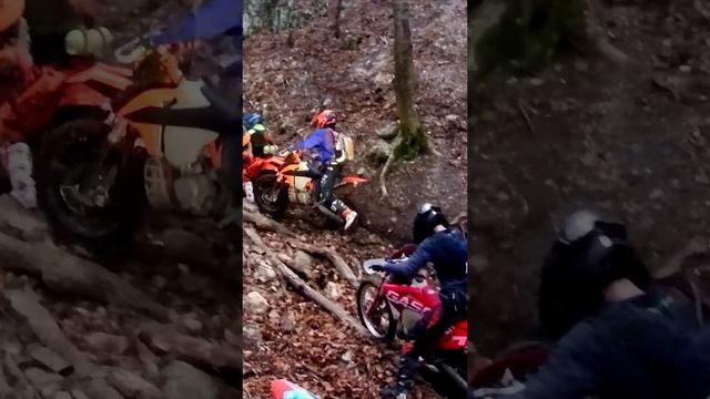 Мокрая миля 2025