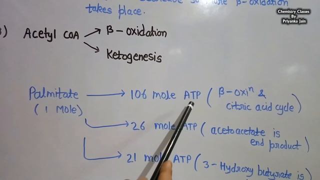 Lipid or fat metabolism part-2 : ketogenesis and fat synthesis in body смотреть онлайн