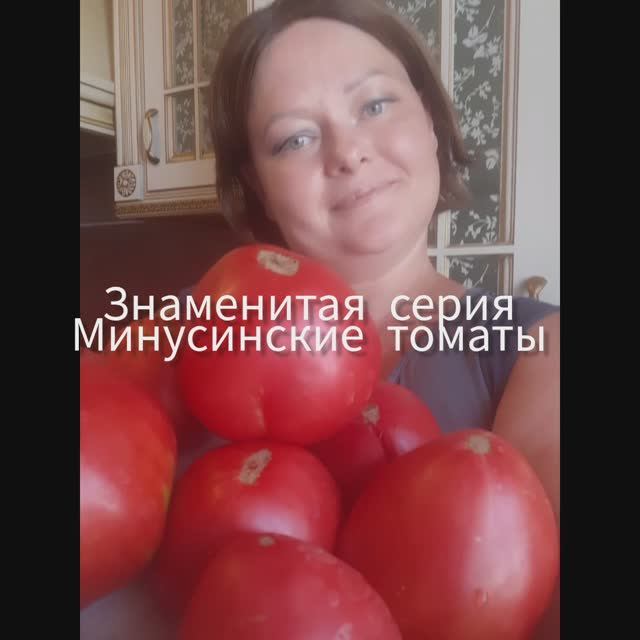 ЗНАМЕНИТАЯ СЕРИЯ МИНУСИНСКИЕ ТОМАТЫ - СОРТ МИНУСИНСКИЙ НИЗКИЙ смотреть онлайн
